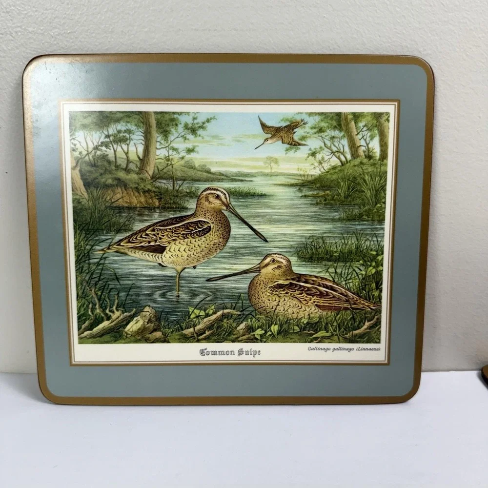 Game Bird Cork Placemats Set Of 4 Plastic Canada Goose Pheasant Grouse Snipe